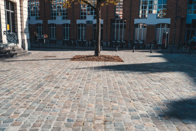 requalification-rue-collegiale-lille-2018-5